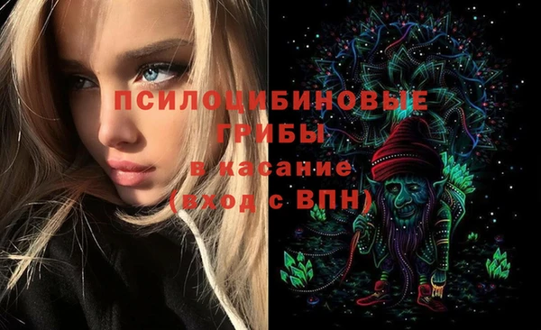 дурь Костерёво