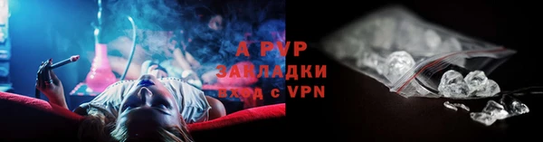 мяу мяу мука Корсаков