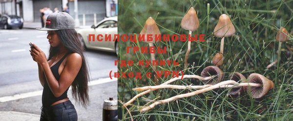 дурь Костерёво