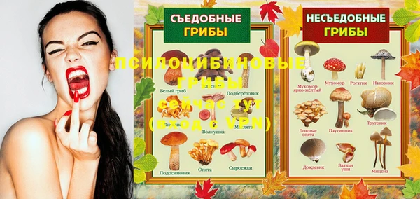 не бодяженный Коряжма