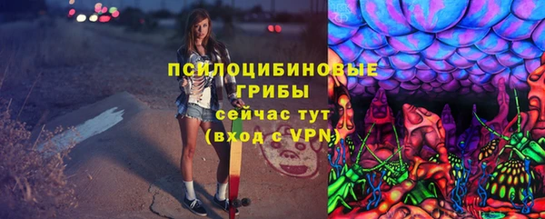 мяу мяу мука Корсаков