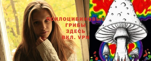не бодяженный Коряжма